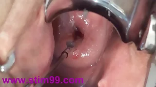 11185 pussy porn videos